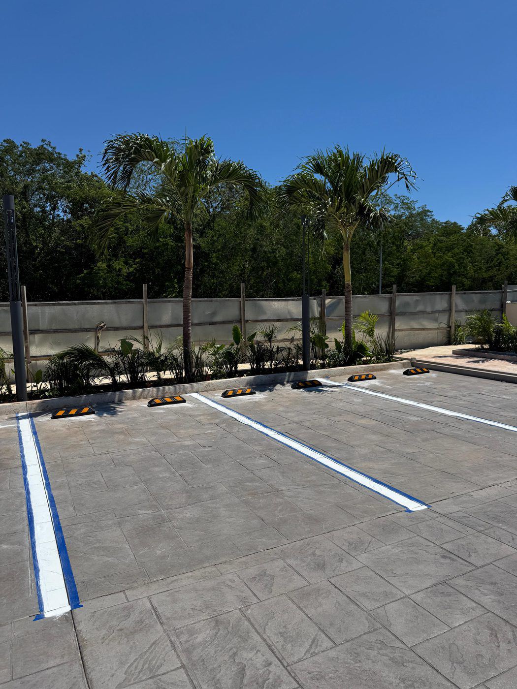 Cajones delimitados y topes en estacionamiento